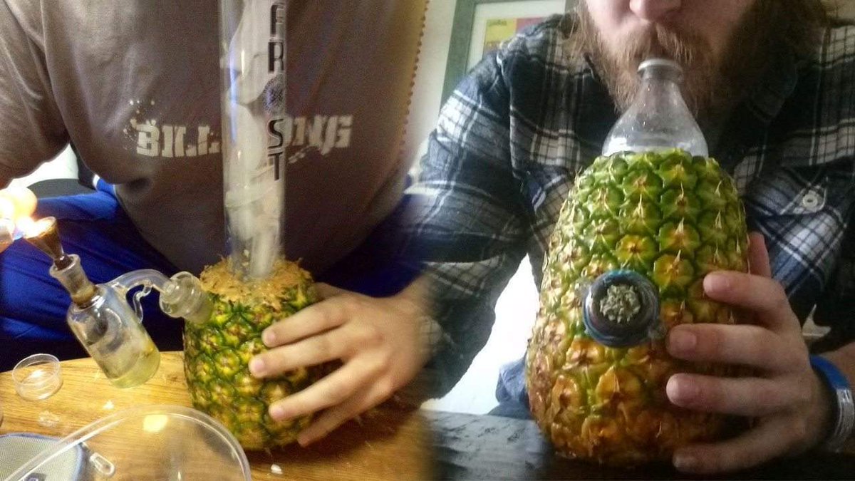 HybridFastCan's tweet photo. Have you ever smoked out of a fruit or other kind of food before? 🍍 #PineappleBong #StonerEngineering #HybridFast https://t.co/zzQk7mZBey