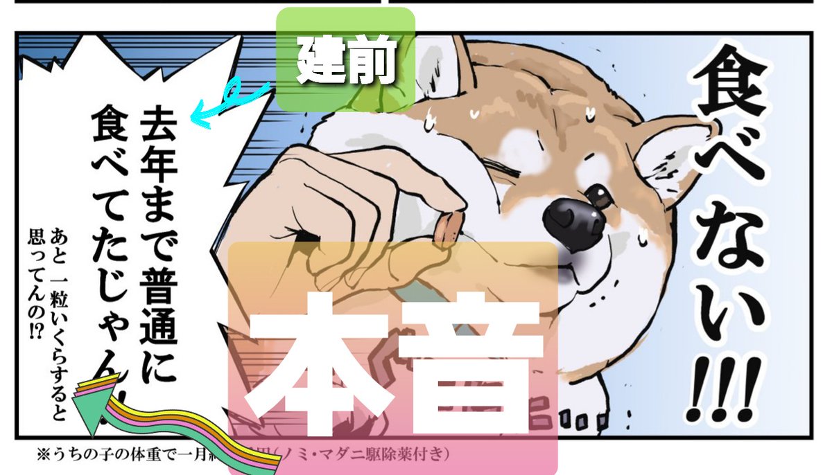 石原 雄 訂正 テコでも動かいよ テコでも動かないよ あと細かいですが フィラリア予防薬 の投薬期間についてですが 蚊の生息期間によって多少地域差がございます