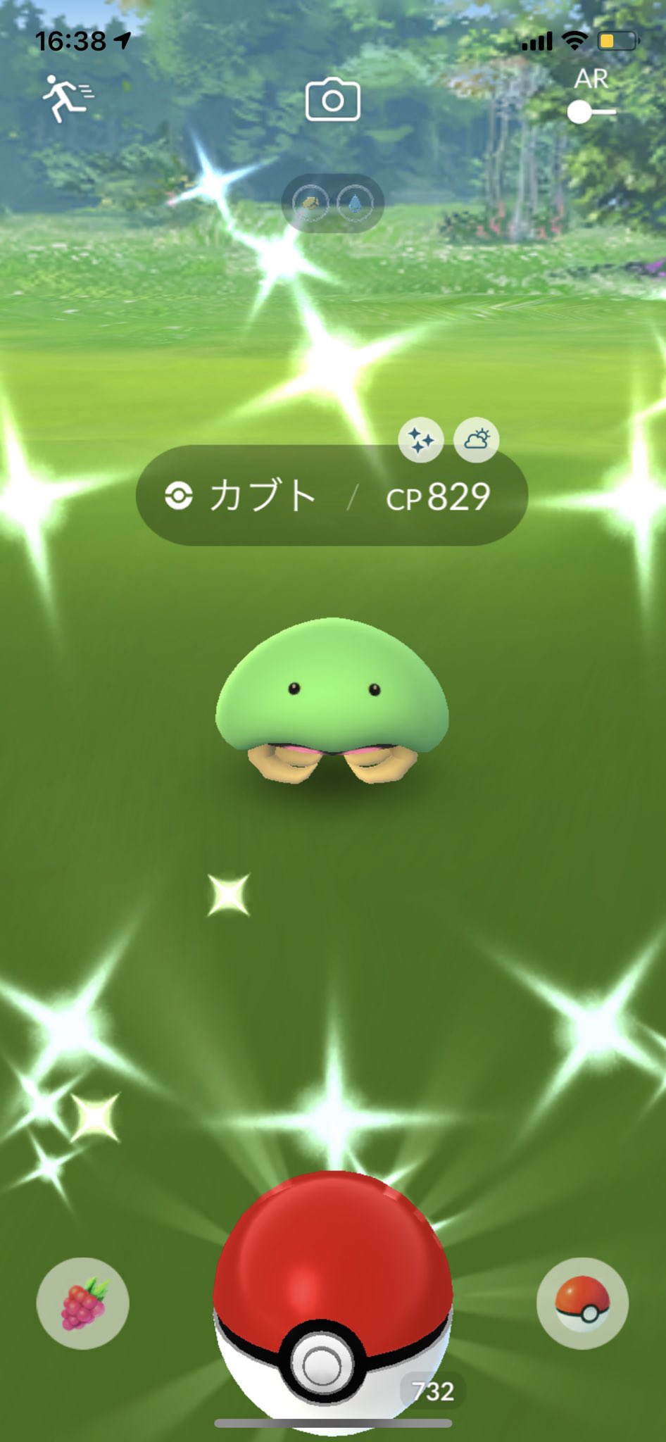 色違いカブト Twitter Search Twitter