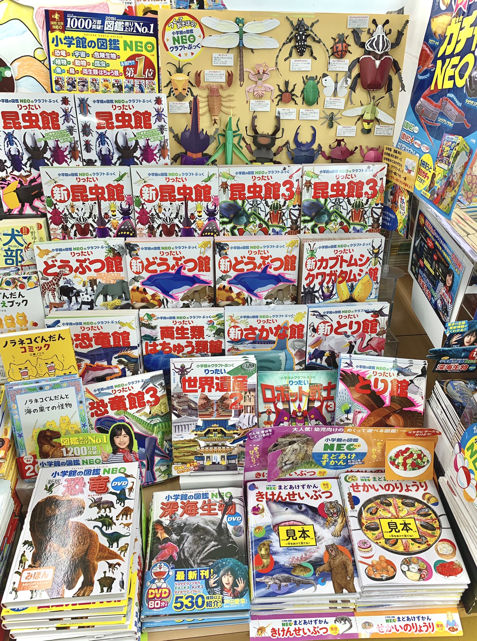 小学館の図鑑NEO on X: 