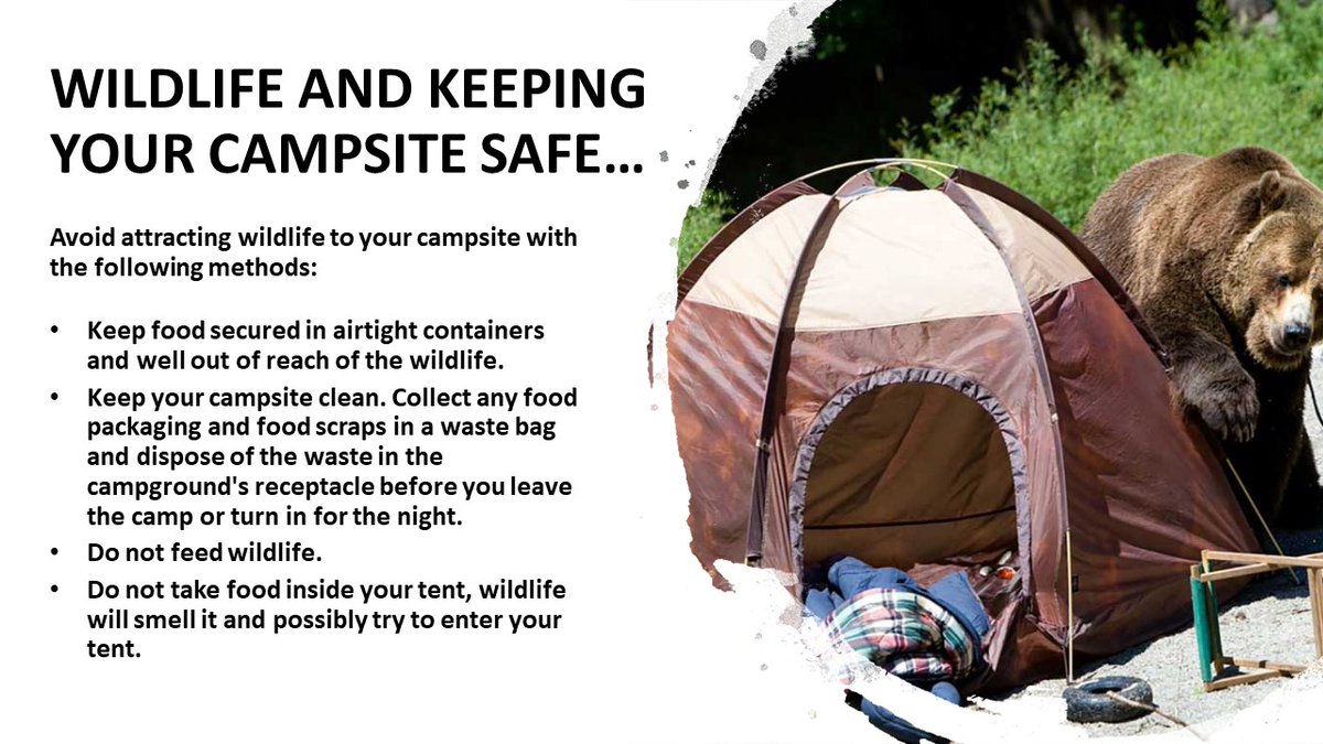 PGFDNews's tweet photo. For so many families, summer means camping vacations. From having the right supplies, planning where to stay, & having the proper safety gear, this weekend’s #PGFD “Fifty Days Of Safety” tips are about making your camping adventures as safe as they are epic. #FiftyDaysofSafety https://t.co/lJzAmsM0DS