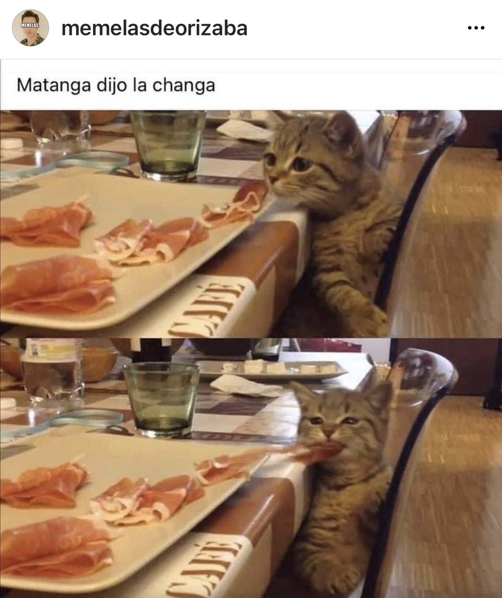 HistGatunas's tweet photo. Los míos no son así 🙄😂😂😂… https://t.co/uZesw6O76v