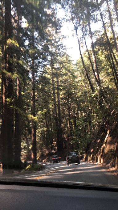 Love nature https://t.co/hIm6ZBASUZ<a href="/tag/lib"class="tags"><span>#lib</span></a>