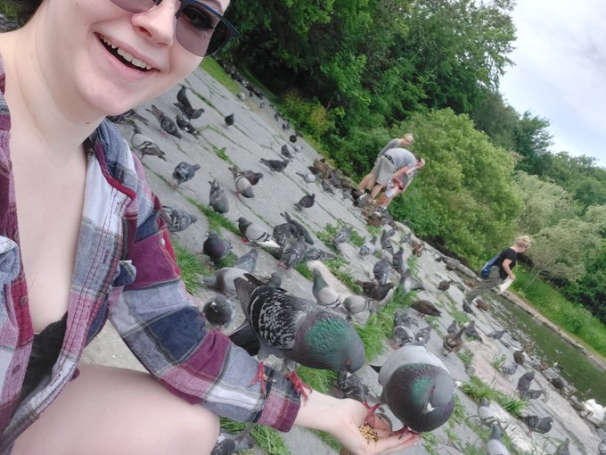 I LOVE PIGEONS SO FRICKEN MUCH https://t.co/EZ4Dhx7zRt