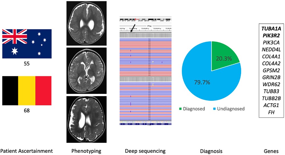 American Society of Pediatric Neuroradiology tweet media