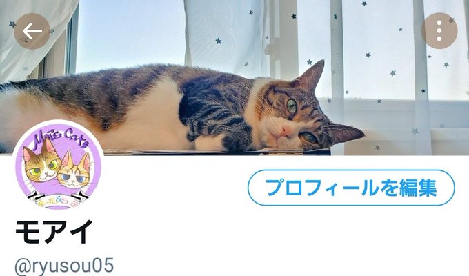 猫イラスト 高画質 のtwitterイラスト検索結果 古い順