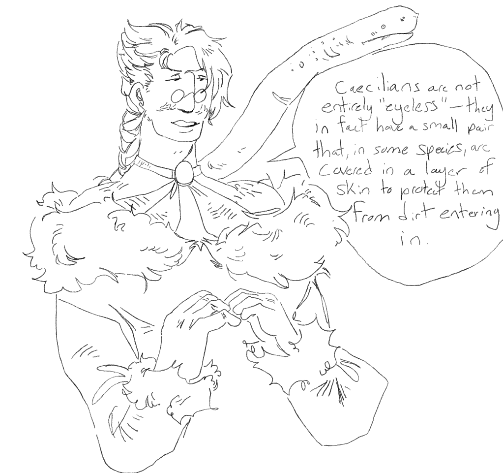 sorry this one isnt colored i am still overcoming artist rot but amphibian friday is BACK with a new host, cesare :---D chara deserves a break they can only carry so mant frog facts in their brain 