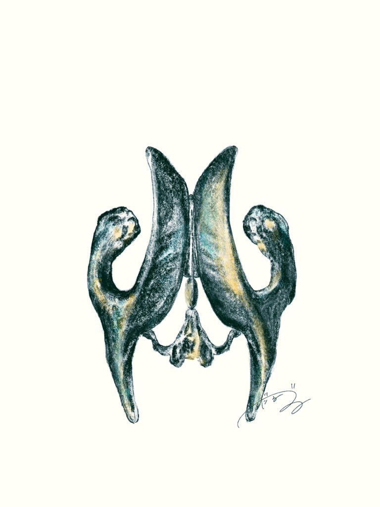 iPadの壁紙作りました。もしよかったら個人利用の範囲にてご自由にお使いください🌱

・軸椎　
・環椎
・肺の木
・脳室