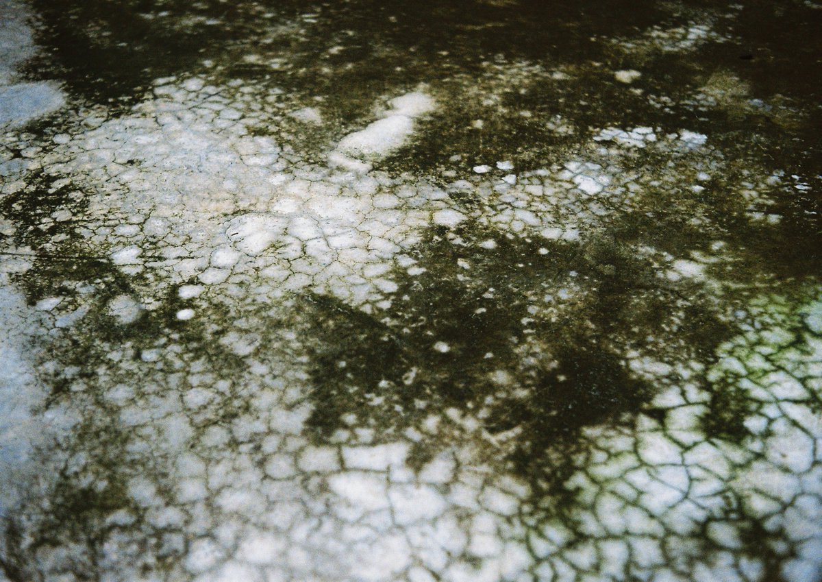 MM_mintmint's tweet photo. Raining 💦
#MMsnap
#Rollei35
#Ultramax400 https://t.co/LFdCbIRtQK