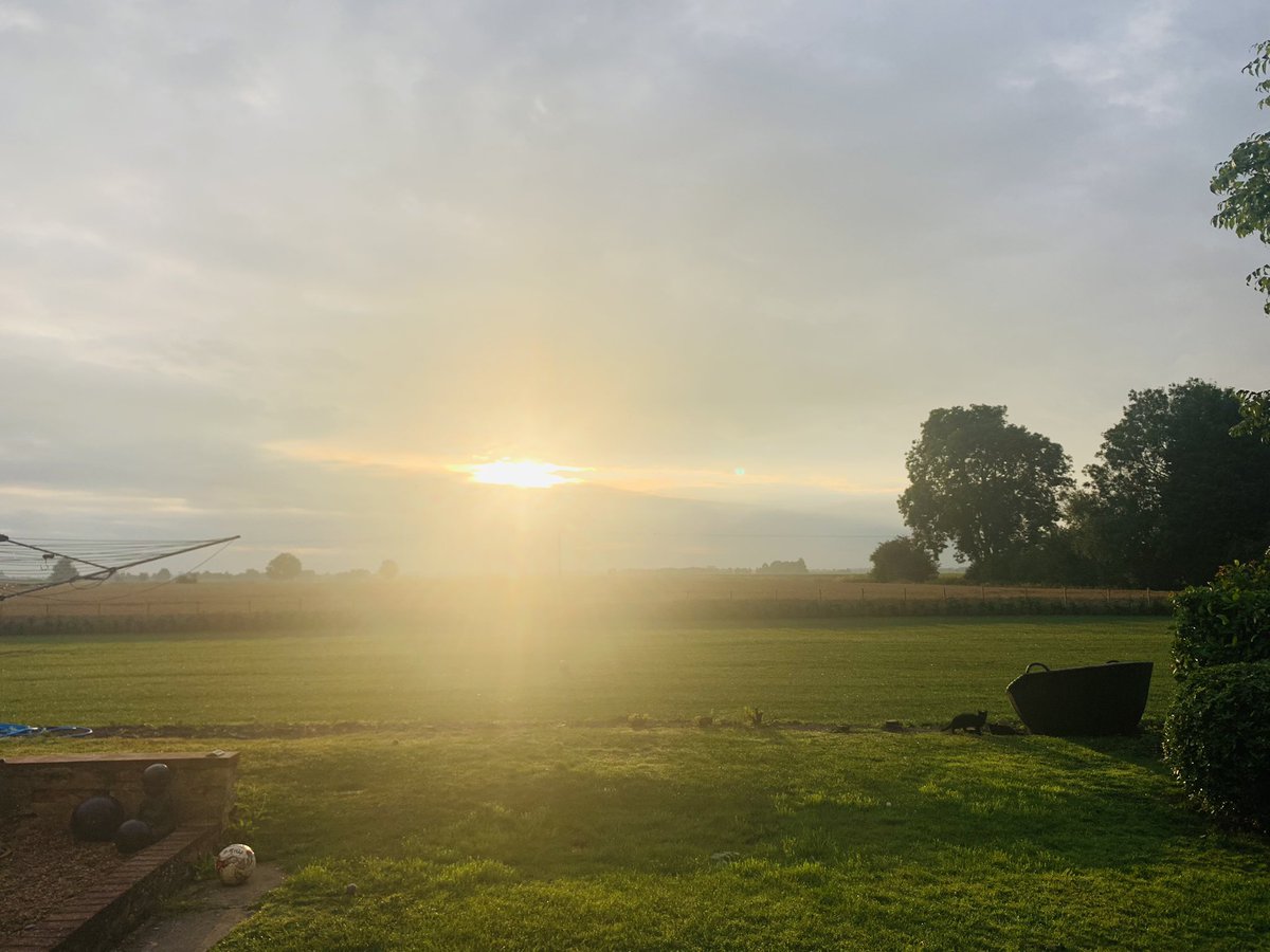 BorderReggie's tweet photo. Just a peek of sun to start Saturday just right! Enjoy your weekend x 🎾🐾

#sunrise #SaturdayVibes #Lincolnshire #morningmotivation #DogsofTwittter https://t.co/wQnbyKQaFm