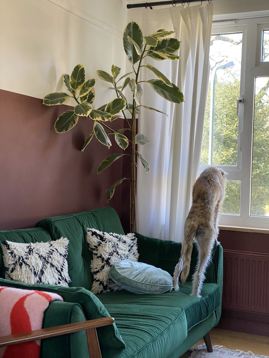 Beckys Biscuit Bases tweet media