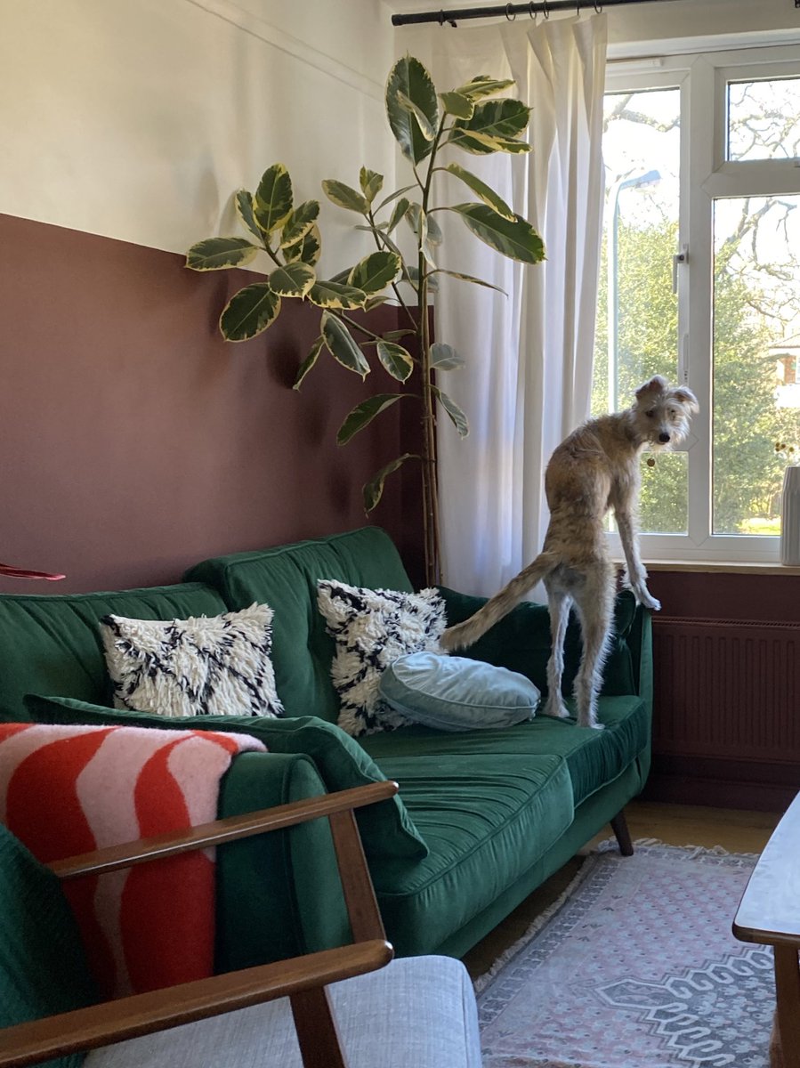 Beckys Biscuit Bases tweet media