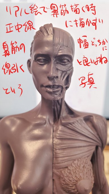 写真で考える「鼻筋の線の位置は正中線?」 