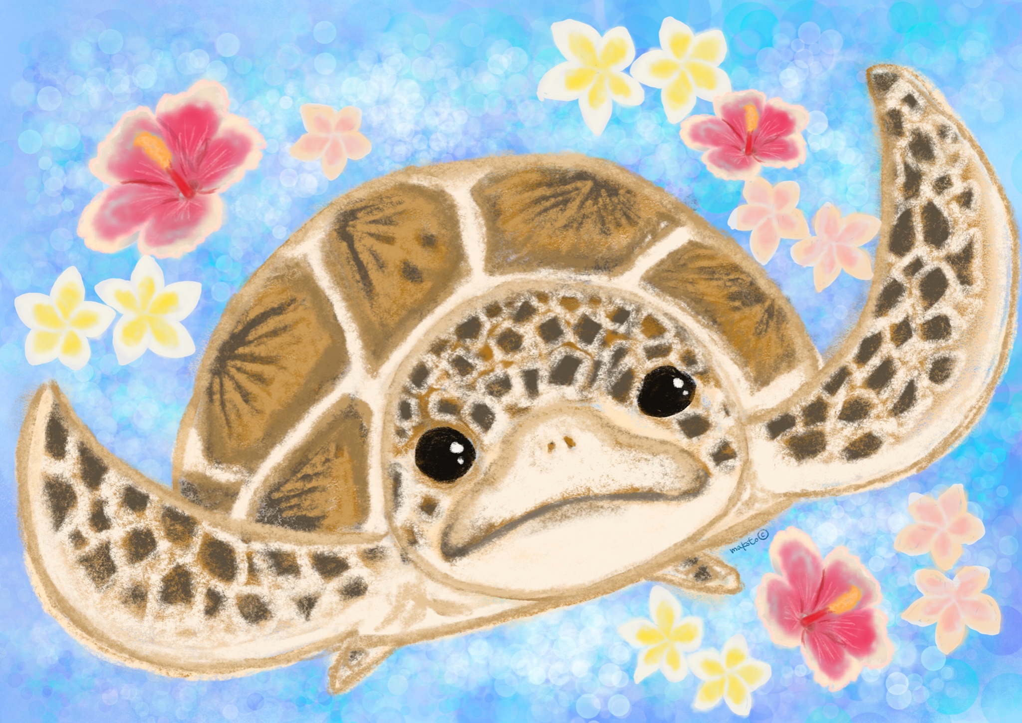 Mako T Co Ecata5knyi 海亀イラスト イラストレーター T Co Vqdbcdhthe Twitter