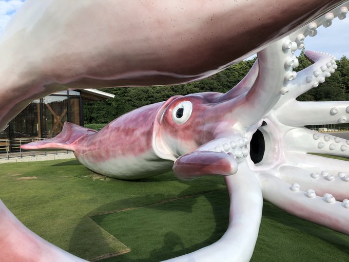 これは昨日撮ったイカキング 