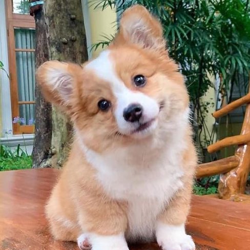 wonuclub's tweet photo. pure devastation https://t.co/GUF9Bo8QHY
