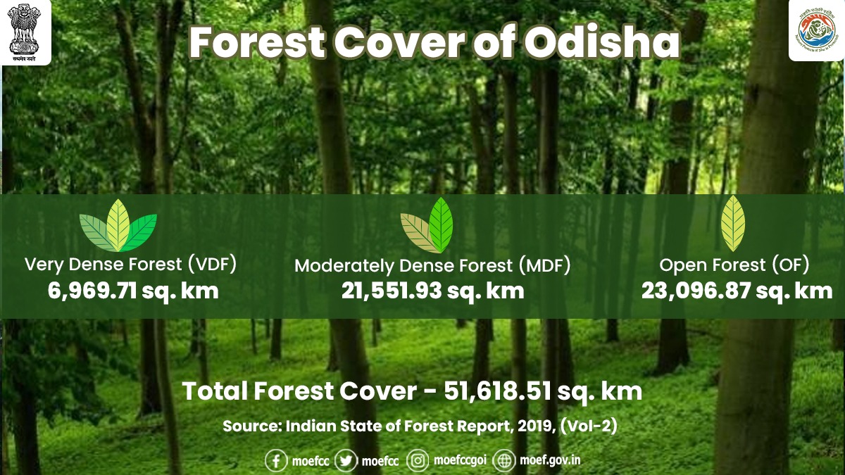 Forest Cover in the State has increased by 273.51 sq km as compared to the previous assessment reported in ISFR 2017. #ForestCover #Odisha