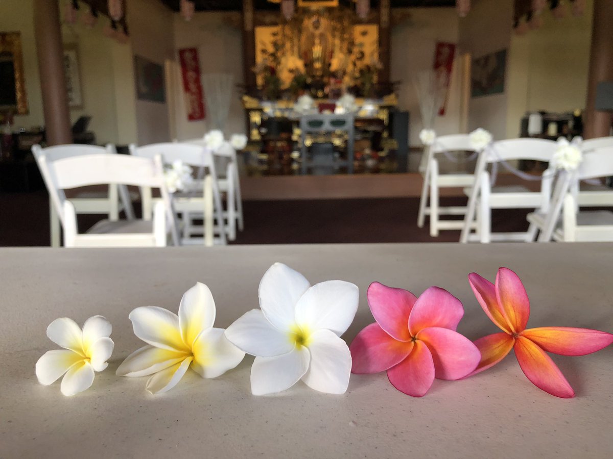 Kosen Ishikawa Sushipriest Twitter