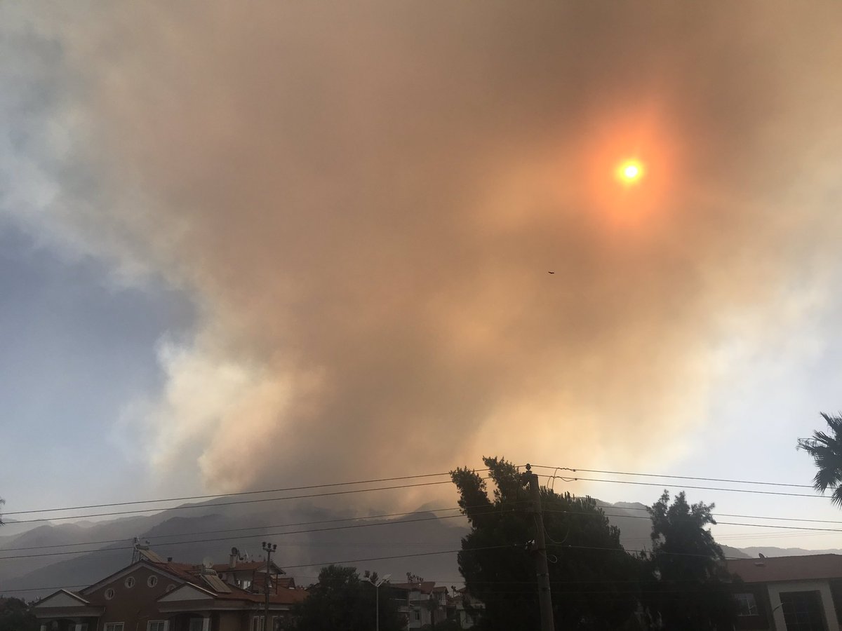 Güne böyle uyandık. Durum kötü. 3 gündür sönmedi yangın.Ufacık bir bölgeden bu hale geldi, daha da büyümemesi için lütfen helikopter, uçak daha çok ekipman istiyoruz.Bölgeye karadan müdahale edenler artık çok yoruldu.
#koycegizyaniyor