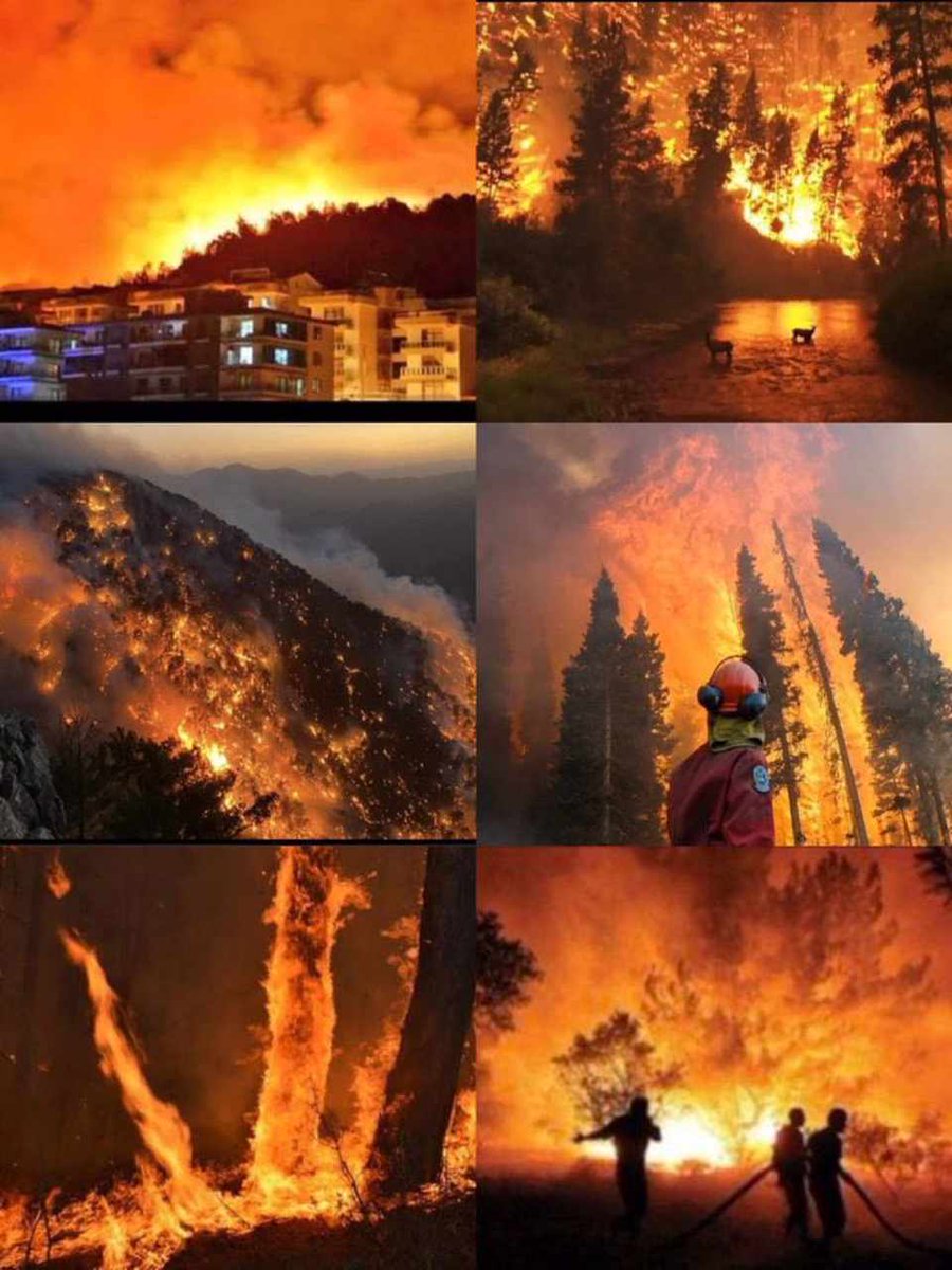 Dinimiz ayrı olur. Fikrimiz ayrı olur. Görüşümüz ayrı olur. Siyasetimizde ayrı olur. Ortak sebelerimiz; Vatanımız Bayrağımız birdir.Ormanlarımız, bedenlerimizin yorğanıdır.Bir ağaç bir evlattır.<a href="/re/">Re</a> <a href="/tcbestepe/">T.C. Cumhurbaşkanlığı</a> @ <a href="/TCTarim/">T.C. Tarım ve Orman Bakanlığı</a>