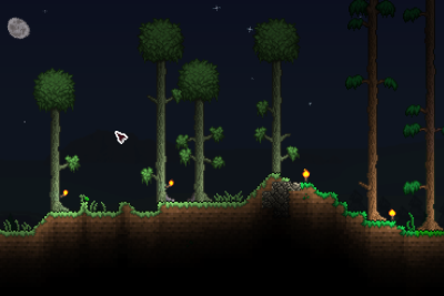 r/Terraria 🌳 tweet media