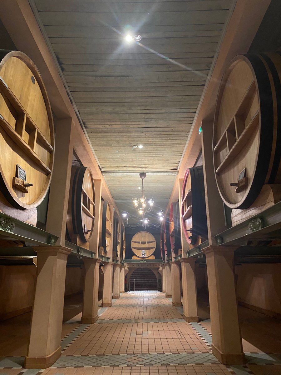 BANDOL AOC - cascaded vineyards &amp; cozy atmosphere. Rosé suitable for longer aging &amp; outstanding Reds. Heaven! 

<a href="/Chateau/">Chateau Bezerra</a> la Rouviere

#SaturdayMorning #SaturdaySwag #winelovers #wine #winetime #winetasting #France #SaturdayVibes