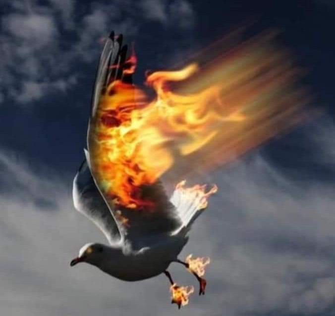 Ey insan! Sen dünyanın başına gelmiş,en büyük felaketsin.