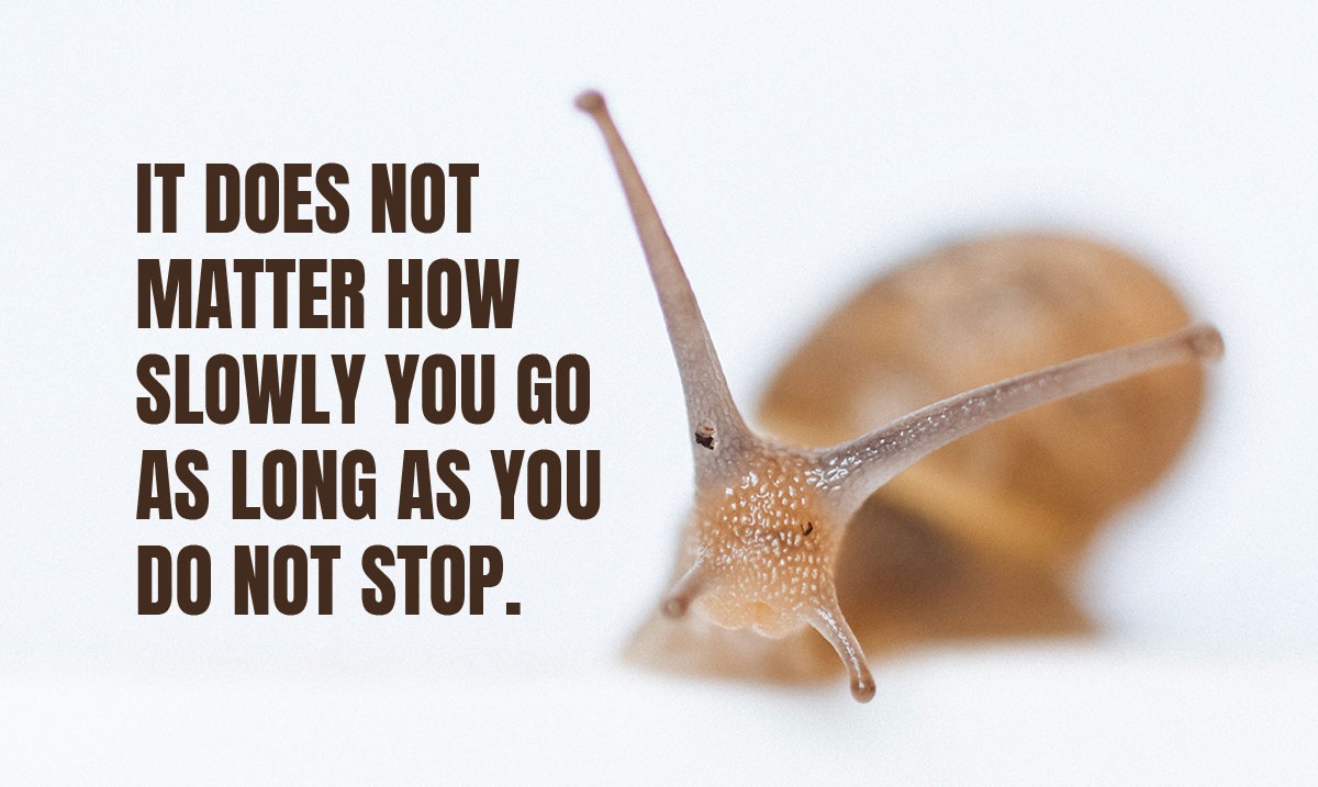 securedaudit's tweet image. "It does not matter how slowly you go as long as you do not stop" - Confucius #commerciallending #businessfinance #commercialfinance #Motivation securedaudit.com
