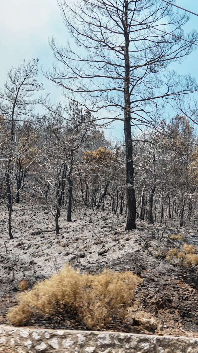 Datça Marmaris yolu ( 1 saat önce) #marmaris #memleketimyanıyor