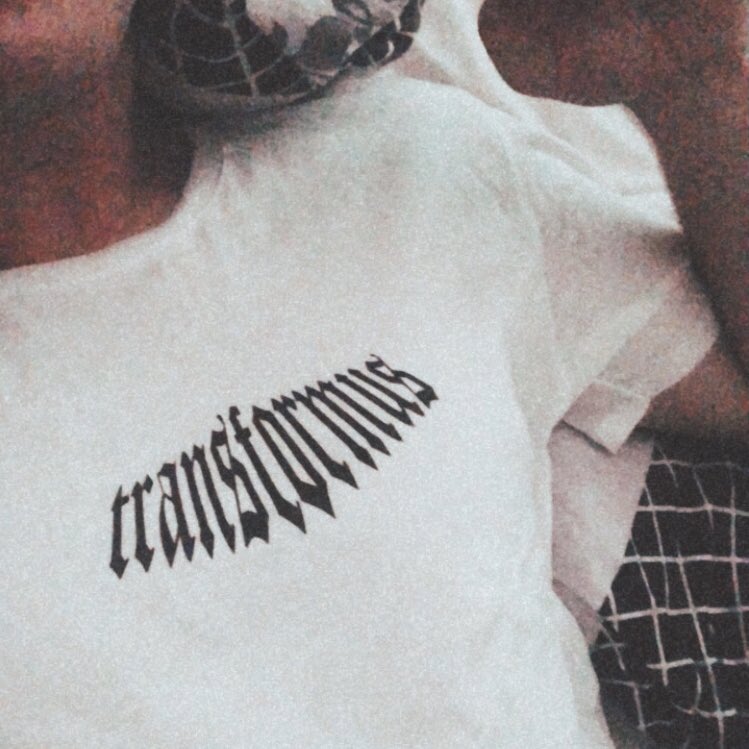 TransformusP's tweet image. 