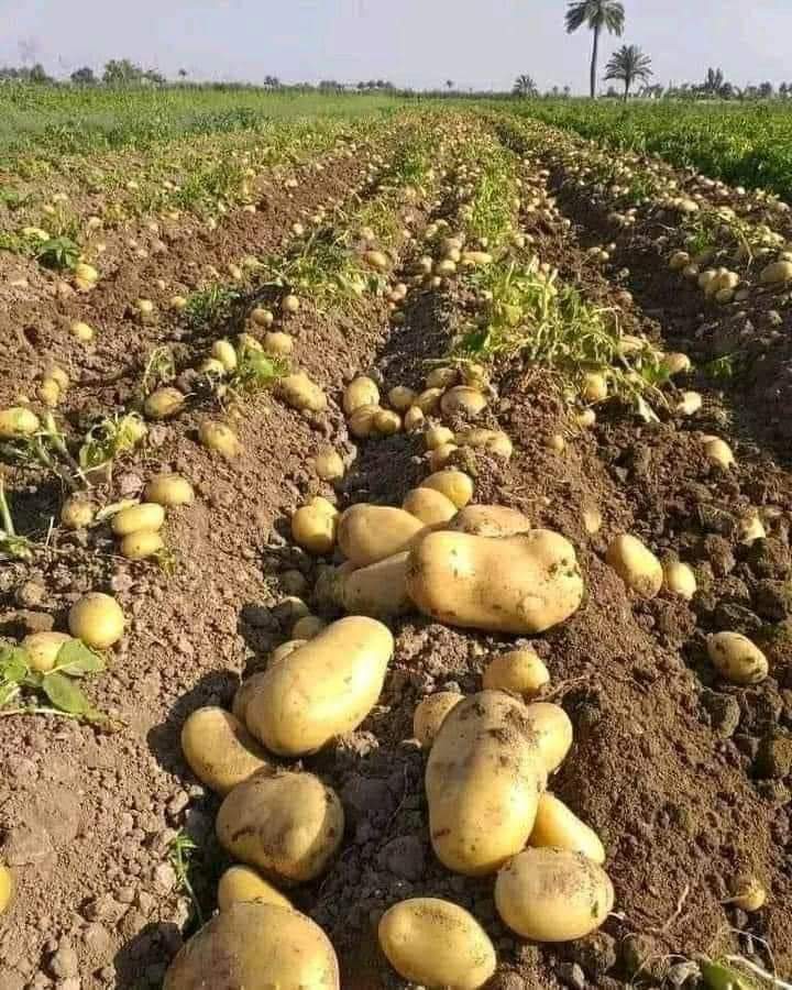 hufanne's tweet photo. Hiran Somalia https://t.co/E3d8W0zvkQ