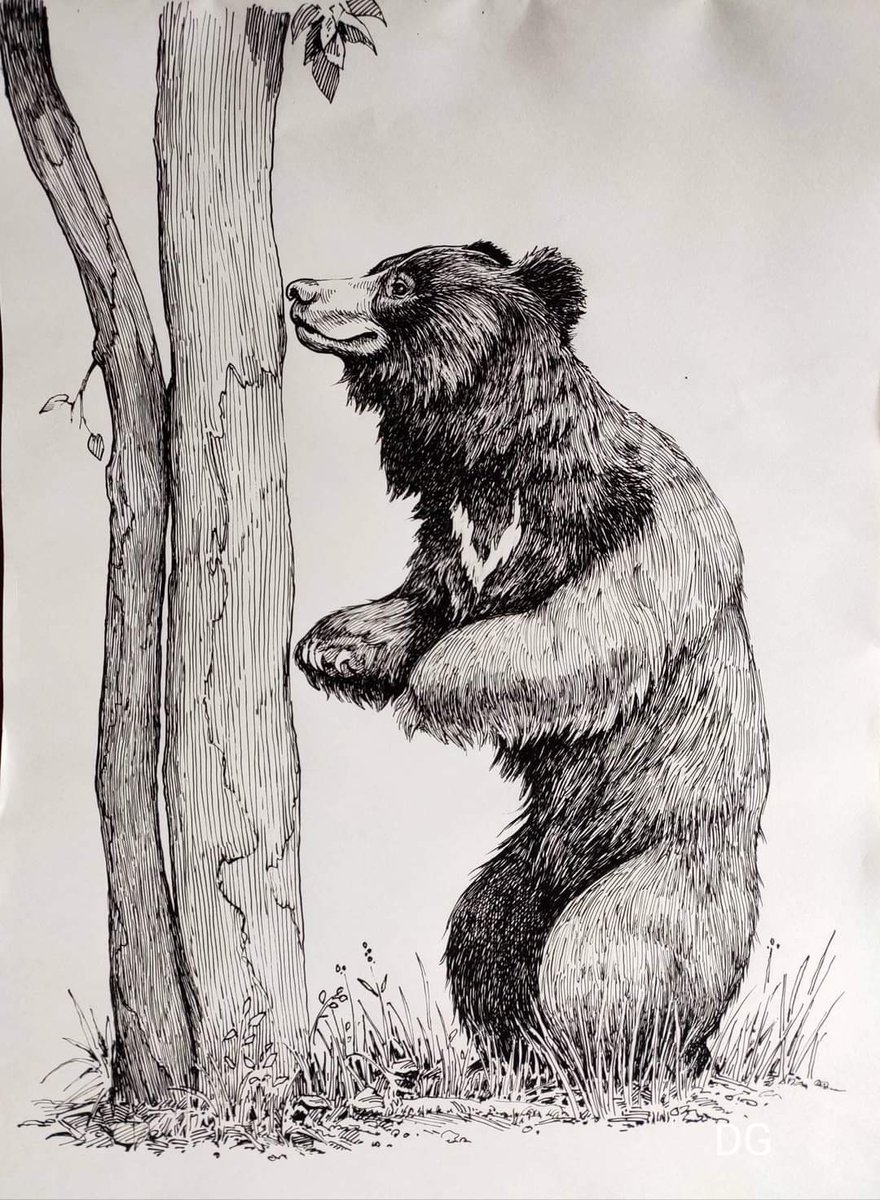 Beautiful sketch of my photograph by deepak ganguly 😊