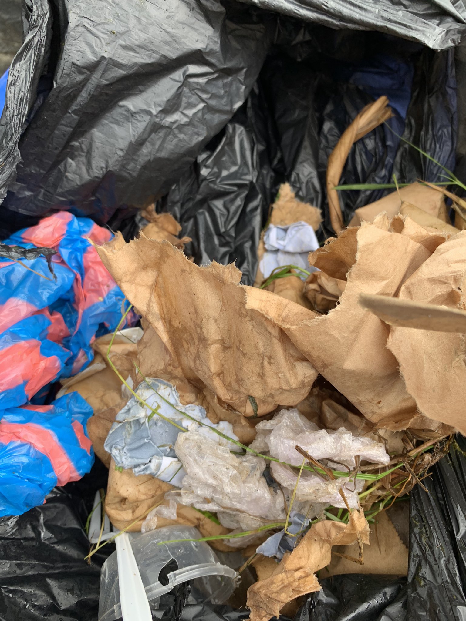 Shane McAuliffe 🐷 ️ on Twitter "Black bags of rubbish thrown into one