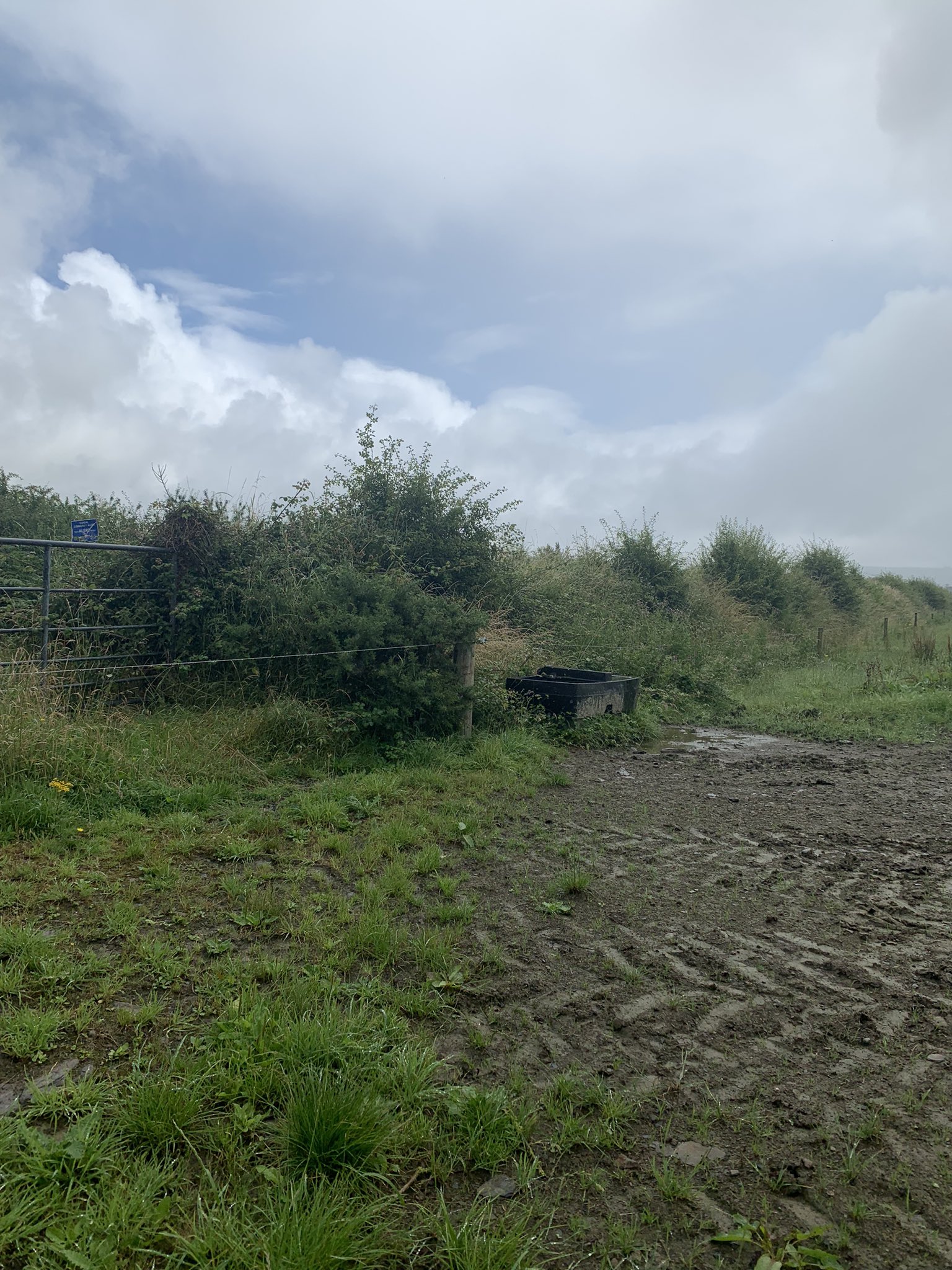Shane McAuliffe 🐷 ️ on Twitter "Black bags of rubbish thrown into one