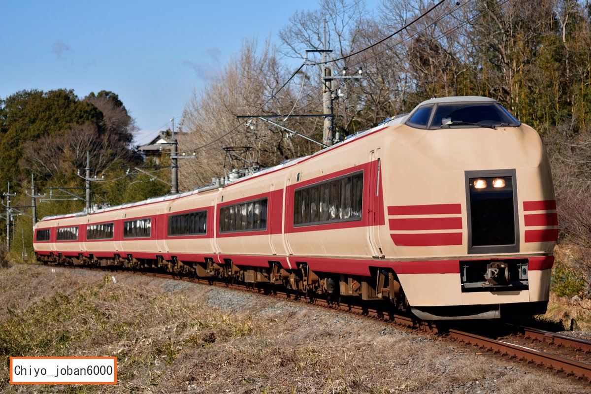 こだまの日 - Search / X