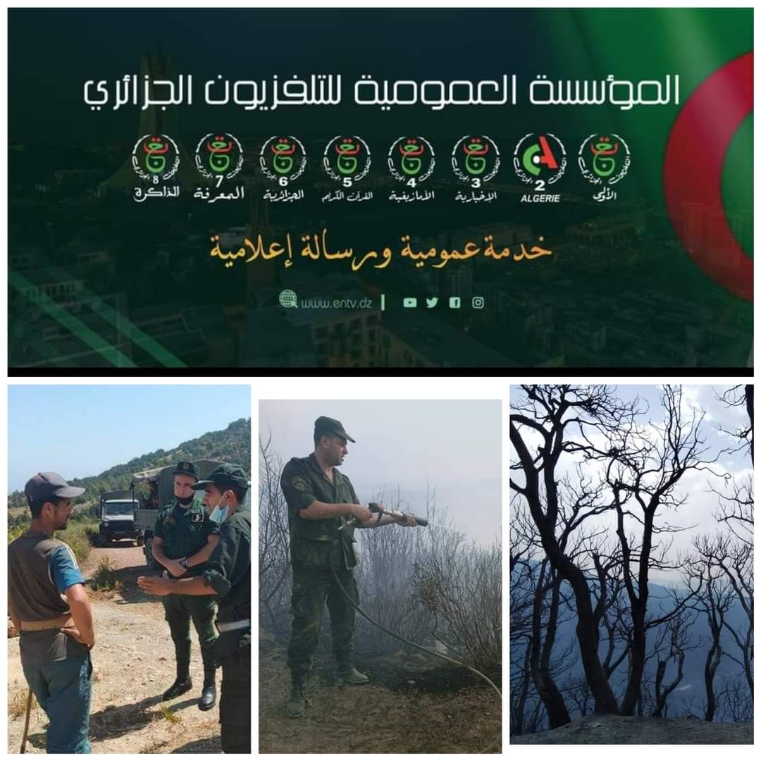 تطبيقا لتعليمات وزير الفلاحة والتنمية الريفية المتعلقة بتكثيف الجهود التوعوية والتحسيس من أجل مكافحة حرائق الغابات ينظم التلفزيون الجزائري السبت 31 جويلية 2021 يوما مفتوحا حول مكافحة حرائق الغابات
وسيتم خلال هذا اليوم التحسيسيي تنشيط حصص لمناقشة عدة مواضيع لها صلة بالموضوع