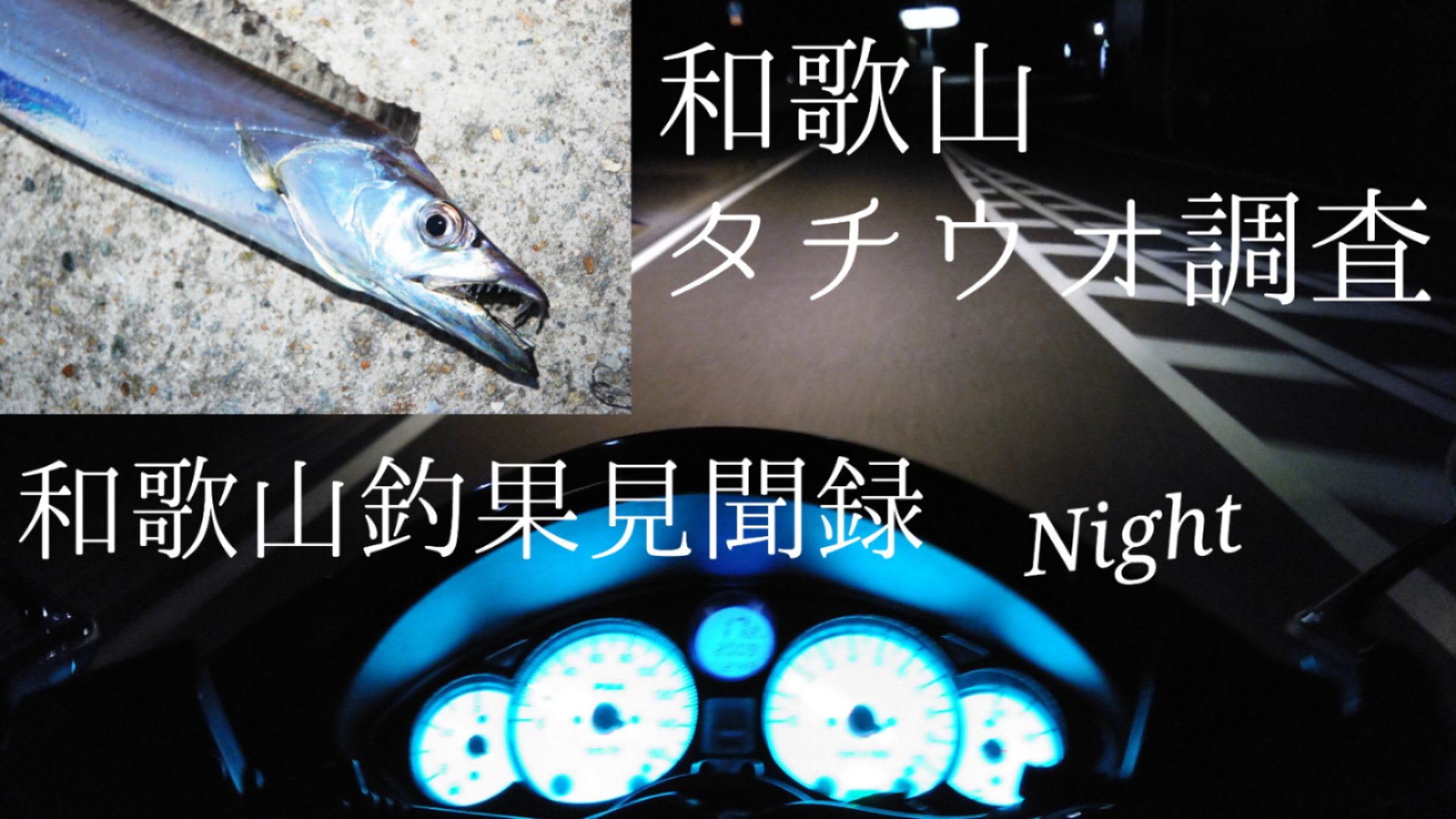 ট ইট র フィッシングマックス公式ツイッター 釣果 ホット情報 和歌山インター店 7 30 31 金 土 水軒鉄鋼団地 マリーナシティ大波止 タチウオ調査 フィッシングマックス 関西の釣果 大阪 神戸 和歌山の釣果情報 T Co Th9tnchczy