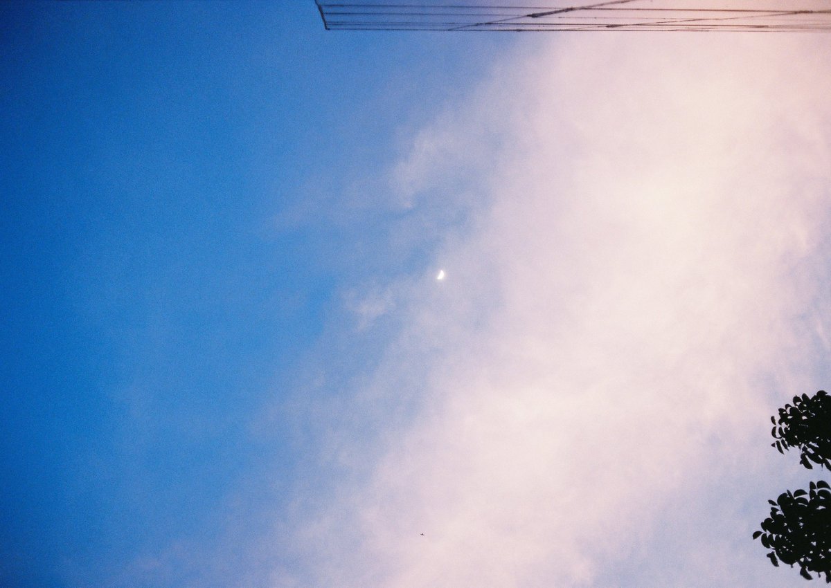 MM_mintmint's tweet photo. Pastel sky ☁️🌈
#MMsnap
#yashicaelectro35cc
#Portra400 https://t.co/j1b9hh1s0D