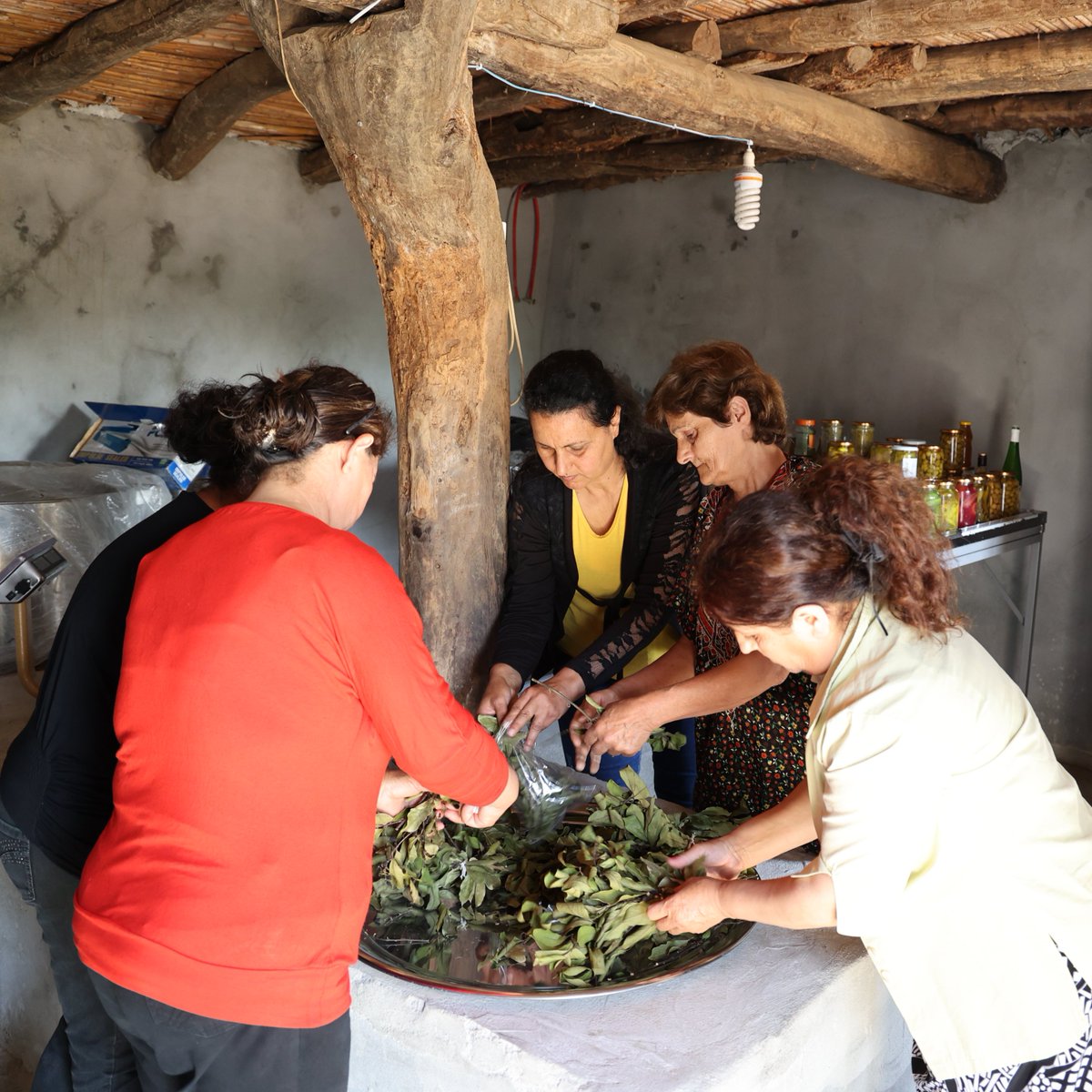 WFP in the Middle East & North Africa tweet media