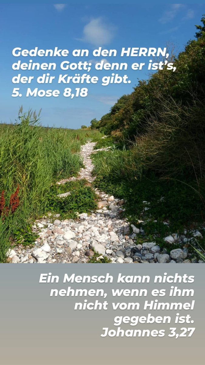 ImLeipziger's tweet photo. Im Urlaub taste ich mich gechillt wieder an das regelmäßige Posten heran. Heute grüße ich Sie "nur" mit der Tageslosung.

Ihnen einen gesegneten Tag!

Foto: Uferpfad vom #Nordstrand zum Siebenschneiderstein (Insel #Rügen)

#ekd #tageslosung #bibel #glaube #kircheneuseenland #weg https://t.co/80yWG0p3o6