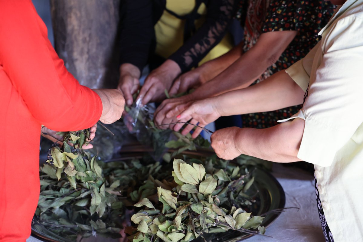 ❝I am obsessed with farming and like to feed people from what I produce in my garden❞🌱 Abeer is part of a team of women participating in WFP’s food processing units project in #Syria, which focuses on empowering women and boosting local economies.👩‍🌾