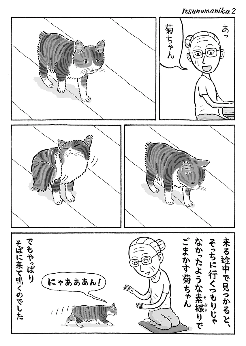 いつも近くで鳴く猫は？こっちに来ているのに気付くと素知らぬ顔をするwww