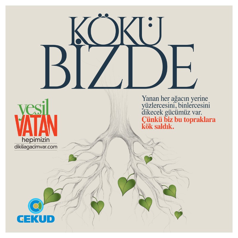 cekud's tweet photo. Ormanlarımız yandı... Ama vatanımızın mavisine, yeşiline olan aşkımız dipdiri duruyor.
Yanan her ağacın yerine yüzlercesini, binlercesini dikecek gücümüz var. 
🌳 1 Fidan 10 ₺
https://t.co/RMw2uaJYph
#OrmanYanginlari #fidan #Manavgat #Antalya #mersin #OrmanVatandır #YeşilVatan