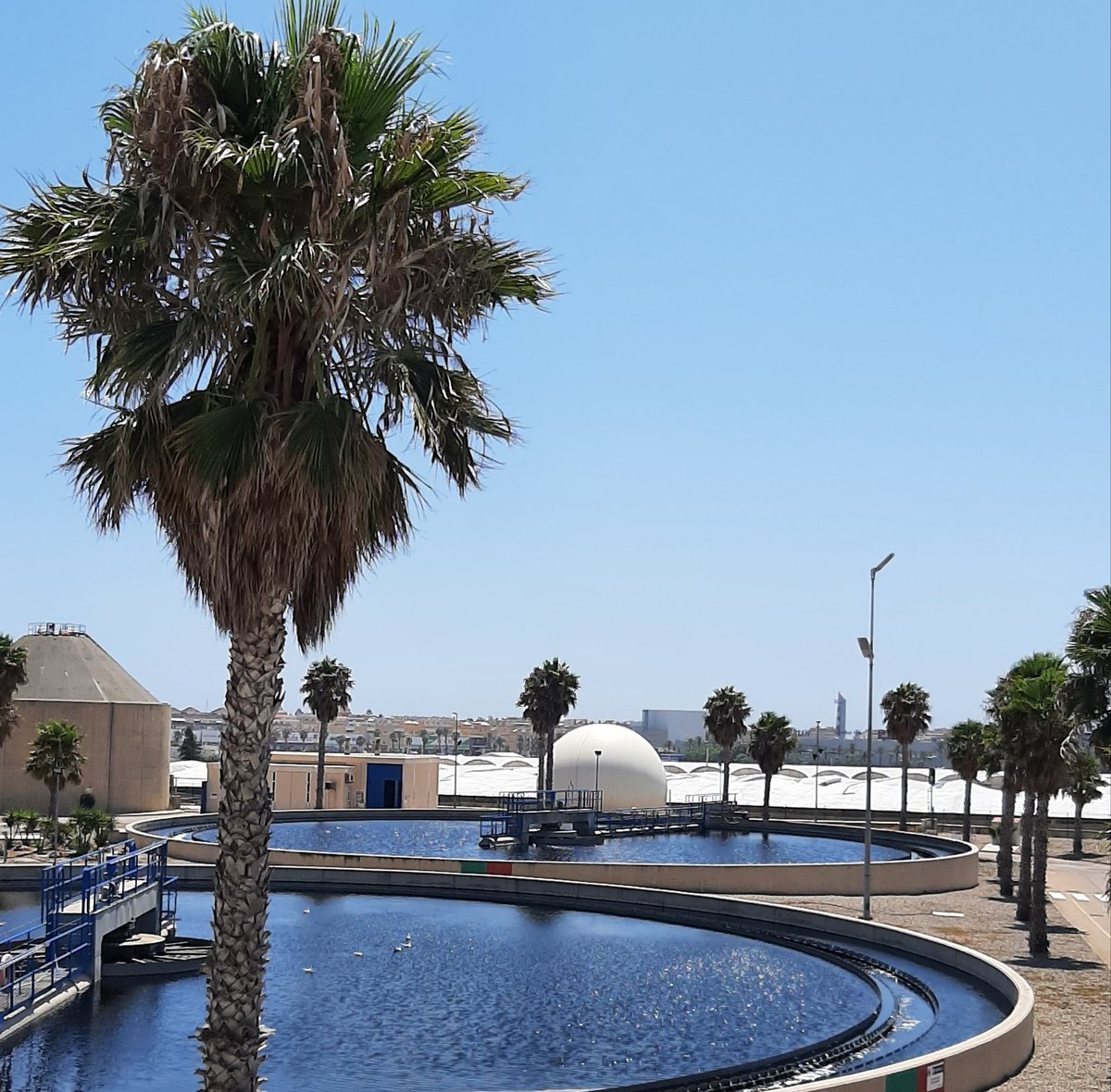 Otro magnífico fin de semana para disfrutar de la #playa en #RoquetasdeMar. Estas son las vistas desde el control de la #edarroquetas gestionada por <a href="/InfoHidralia/">Hidralia</a> donde se tratan las aguas residuales de <a href="/AytoRoquetas/">Ayto Roquetas de Mar</a> , <a href="/Aytovicar/">Ayuntamiento de Vícar</a>, <a href="/aytolamojonera/">Ayuntamiento de La Mojonera</a> y S. Agustín.