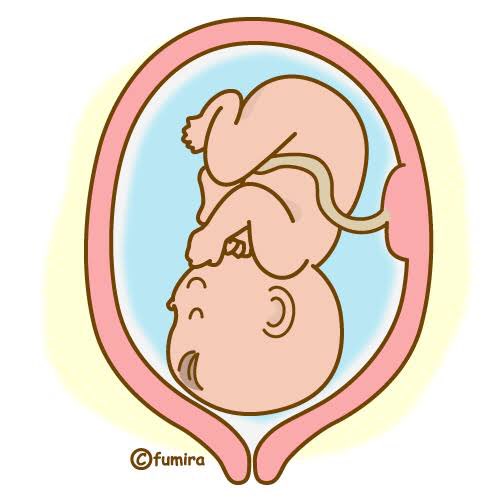 胎児のtwitterイラスト検索結果 古い順