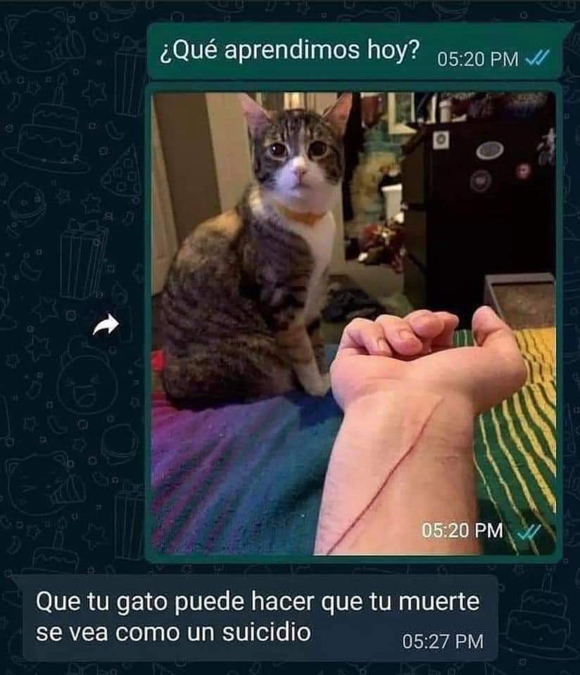 SystemOfAClaun's tweet image. Los gatos dominarán el mundo. Eso es así.

Vía whatsapp.