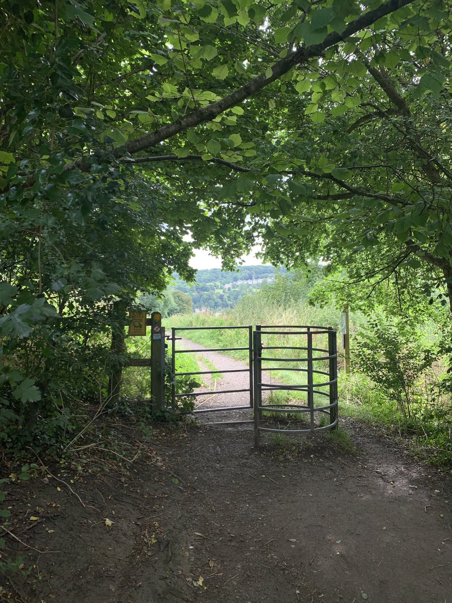 BornChatting's tweet photo. On my way to interview scythers and wildlife expert #DavidGoode for Monday’s Great Outdoor Show on @SomerValleyFM! https://t.co/xypj7TebEX