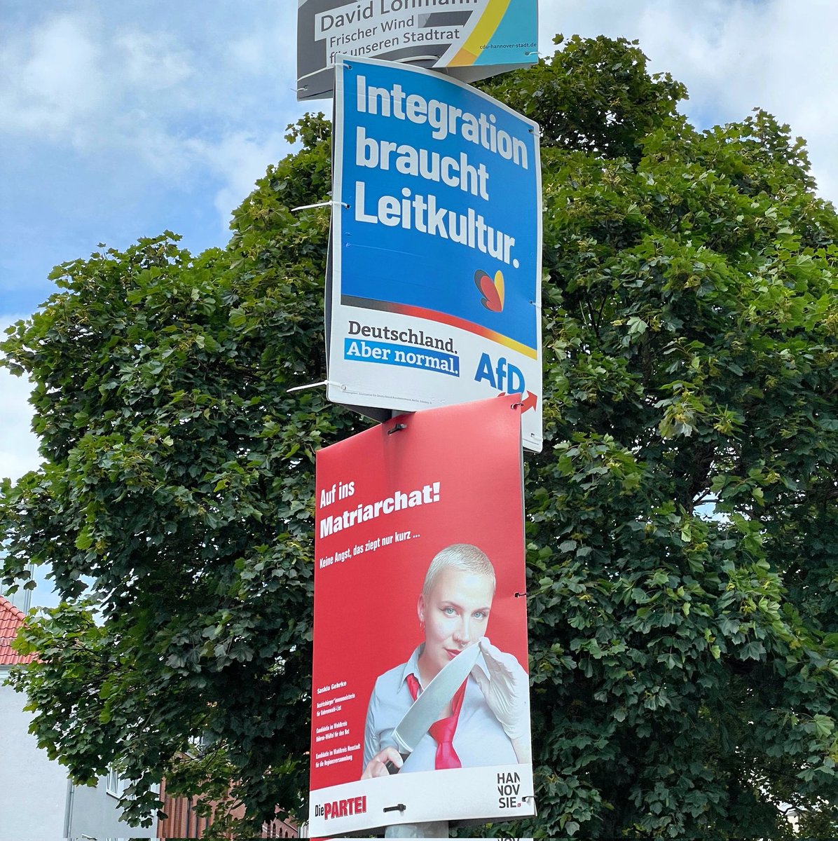 Rote oder blaue Pille?
#diePARTEI #fckafd #aufinsMatriarchat