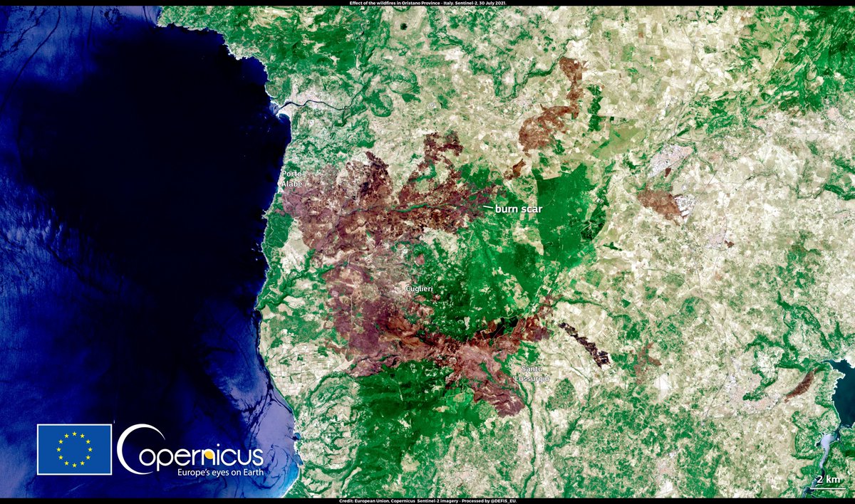 #ImageOfTheDay

Severe wildfires are ongoing in the Mediterranean basin

Turkey &amp; Italy are the most affected
Thousands of hectares have been destroyed

On 30 July, #Copernicus #Sentinel2🇪🇺🛰️ captured the burn scar caused by the fire that ravaged the #Oristano area in #Sardegna🇮🇹
