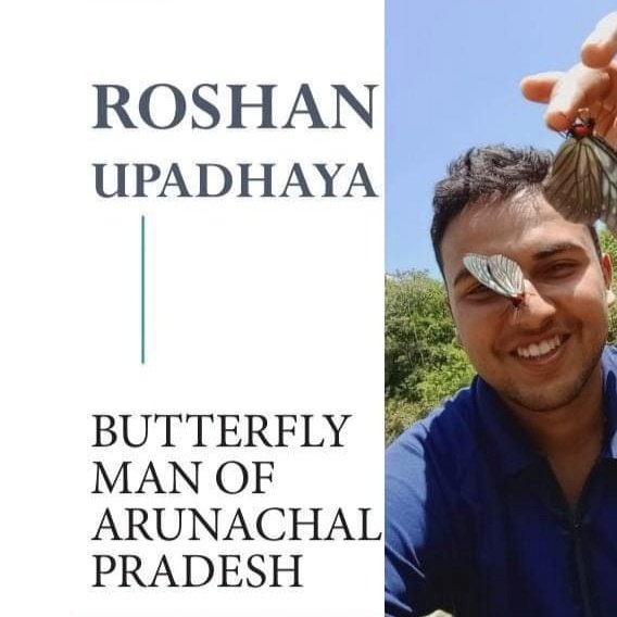 Roshan_bfly's tweet photo. #Butterfly #butterflylover #butterflyman #Arunachal
@arunachaltimes_ @MyGovArunachal @DgpPradesh @CentralIfs @Bfoundation @savebutterflies @ArunForests @KirenRijiju https://t.co/rnVtiPVjVK